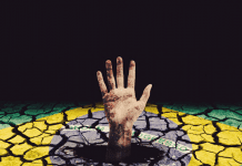 Reprodução Google