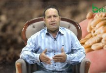 Adorando a Deus “Plante sua semente em terras boas”