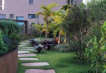Saiba como cuidar do seu jardim durante o verão