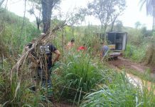 Jovem encontrada morta na ponte do rio Paraopeba