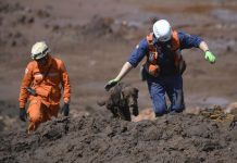 Bombeiros retirados de contato com a lama em Brumadinho após excesso de metais no organismo
