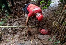 13º dia de buscas por desaparecidos em Brumadinho