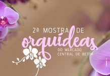 Mercado Central receberá 2ª Mostra de Orquídeas