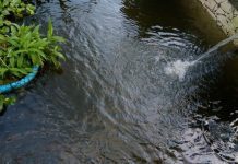 Produtora de Brumadinho não consegue vender peixes na Semana Santa