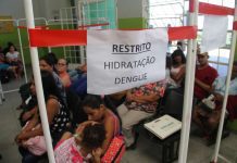 Sobe para 25 o número de mortes confirmadas por dengue em Minas Gerais