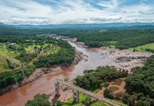 Contaminação do Rio Paraopeba influencia surto de dengue em Brumadinho