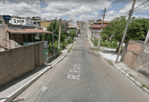 Cinco pessoas ficam feridas em ataque de abelhas em Betim