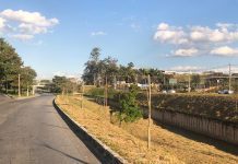 Ação, coordenada pela prefeitura, faz a manutenção e amplia as áreas arborizadas