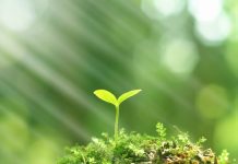 Betim apresenta projeto piloto no Workshop Nacional Urban – LEDS II
