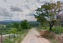 Corpo em decomposição é encontrado em matagal em Betim