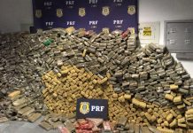 PRF apreende aproximadamente uma tonelada de maconha em Betim