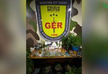 Polícia Militar apreende plantação de maconha dentro de apartamento, em Betim