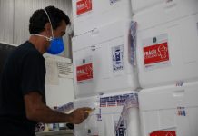 Unidades Regionais de Saúde de MG recebem mais de um milhão de vacinas contra Covid-19