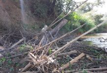 Corpo é encontrado no Rio Paraopeba, em Betim