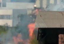Incêndio em mata atinge área de loja no Centro de Betim