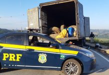 PRF prende quadrilha especializada em roubo de veículos de carga, em Betim