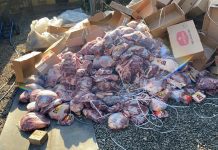 Polícia Militar recupera carga roubada de aproximadamente 1.800 kg de carne, em Contagem