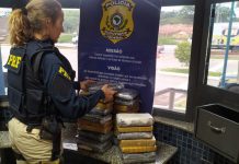 PRF apreende cerca de 50 quilos de drogas em veículo envolvido no acidente da BR-381, em São Joaquim de Bicas