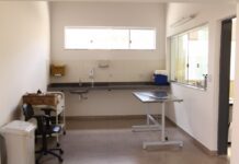 Centro de Controle de Zoonoses de Betim é reformado e ganha novo gatil