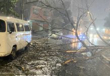 Chuva forte em Betim provoca queda de árvores na noite desta terça-feira (8/11)