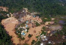 Amazônia: garimpo ilegal em terras indígenas subiu 1.217% em 35 anos
