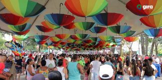Carnaval de Mateus Leme agita foliões