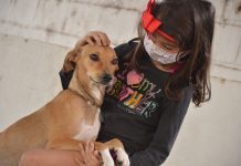 Direito animal e combate aos maus-tratos é tema de seminário em Betim