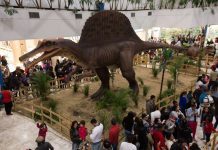 Exposição “Mundo Jurássico” chega ao Partage Shopping Betim com entrada gratuita