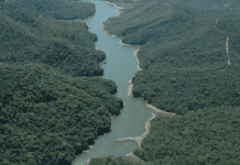 Meio Ambiente estadual reforça combate ao desmatamento em Minas
