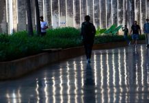 Professores de universidades e institutos federais entram em greve
