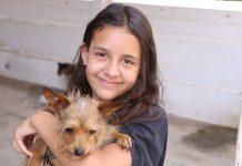 Betim promove evento de adoção de cães e gatos neste sábado (6/7)