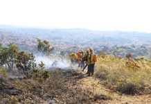 Brigadistas atuam de forma fundamental no combate a incêndios florestais
