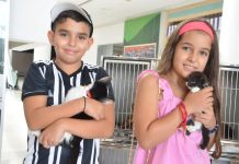 Prefeitura promove evento de adoção de cães e gatos