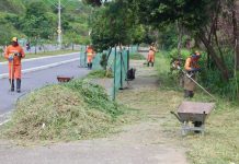 Avenidas recebem reforço na manutenção de jardins e canteiros centrais