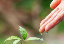 Minas Gerais celebra 25 anos do SNUC com avanços na conservação ambiental