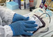 Hemominas homenageia doadores que fortalecem a hemoterapia em Minas Gerais