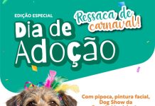Betim realiza edição especial “Ressaca de Carnaval” do Dia de Adoção neste sábado 21/02