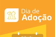 Feira de adoção em Betim oferece cerca de 20 pets à espera de um novo lar neste sábado (21/3)