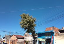 Mobilidade e Segurança: Prefeitura de Betim revitaliza sinalização em cruzamento estratégico do São Cristóvão