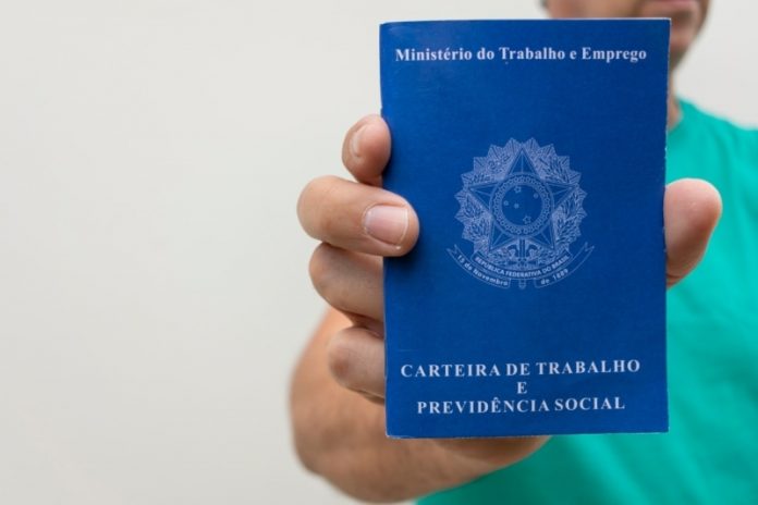 carteira de trabalho 5