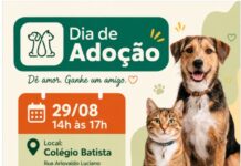 Betim promove Dia de Adoção com 11 pets à espera de um lar