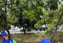 Prefeitura de Betim intensifica mutirão de capina e limpeza nas regionais Alterosas, Teresópolis e Imbiruçu