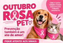 Outubro Rosa Pet: Betim promove exames preventivos de câncer de mama em cães e gatos